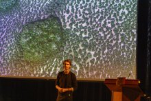 Insights from Luca Martinez