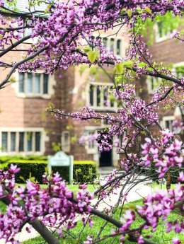 Strategic Priorities for Ridley