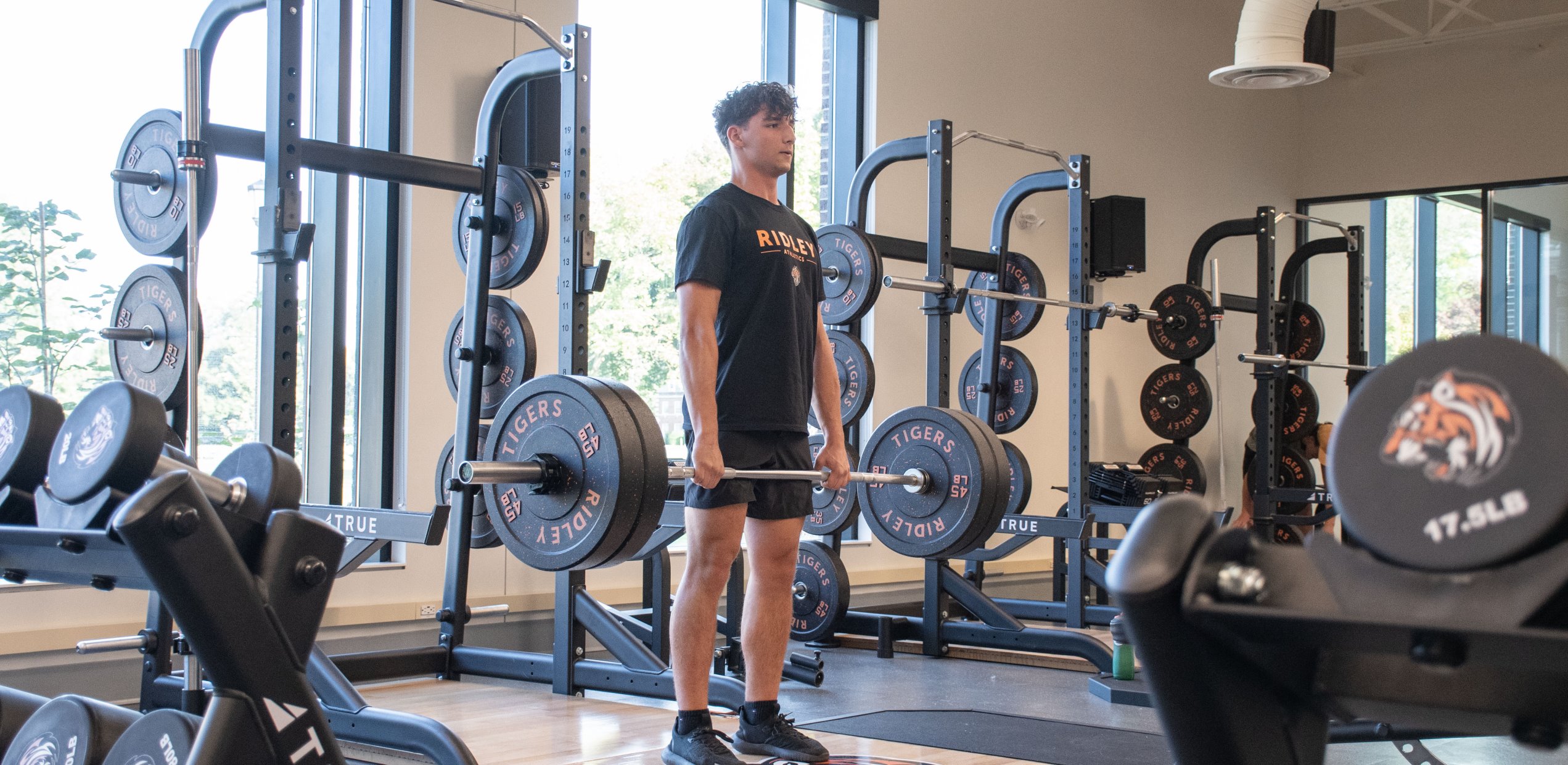 Rentals & Memberships