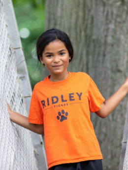 Health, Safety & Wellness