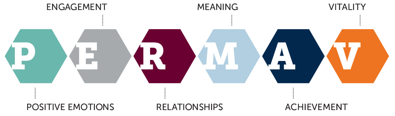 PERMAV - P stands for Positive Emotions. E stands for Enagement. R stands for Relationships. M stands for Meaning. A stands for Achievement. V  stands for Vitality